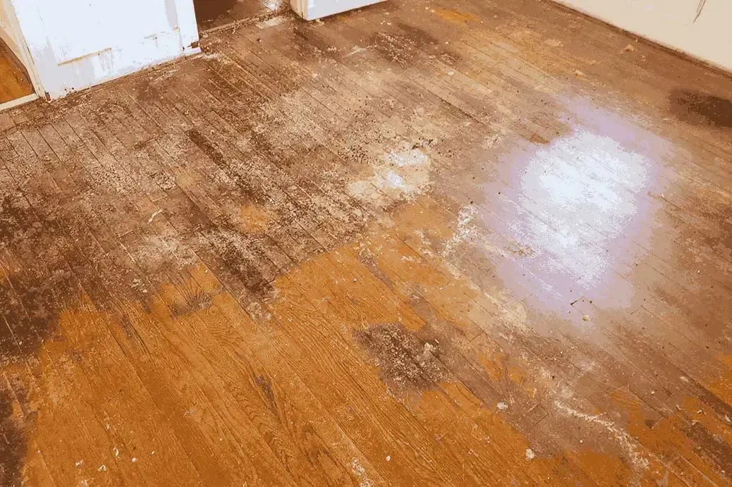 Hardwood Flooring Damage